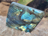 Polished Labradorite Standing Free Forms x 3 From Tulear, Madagascar - Toprock Gemstones and Minerals 