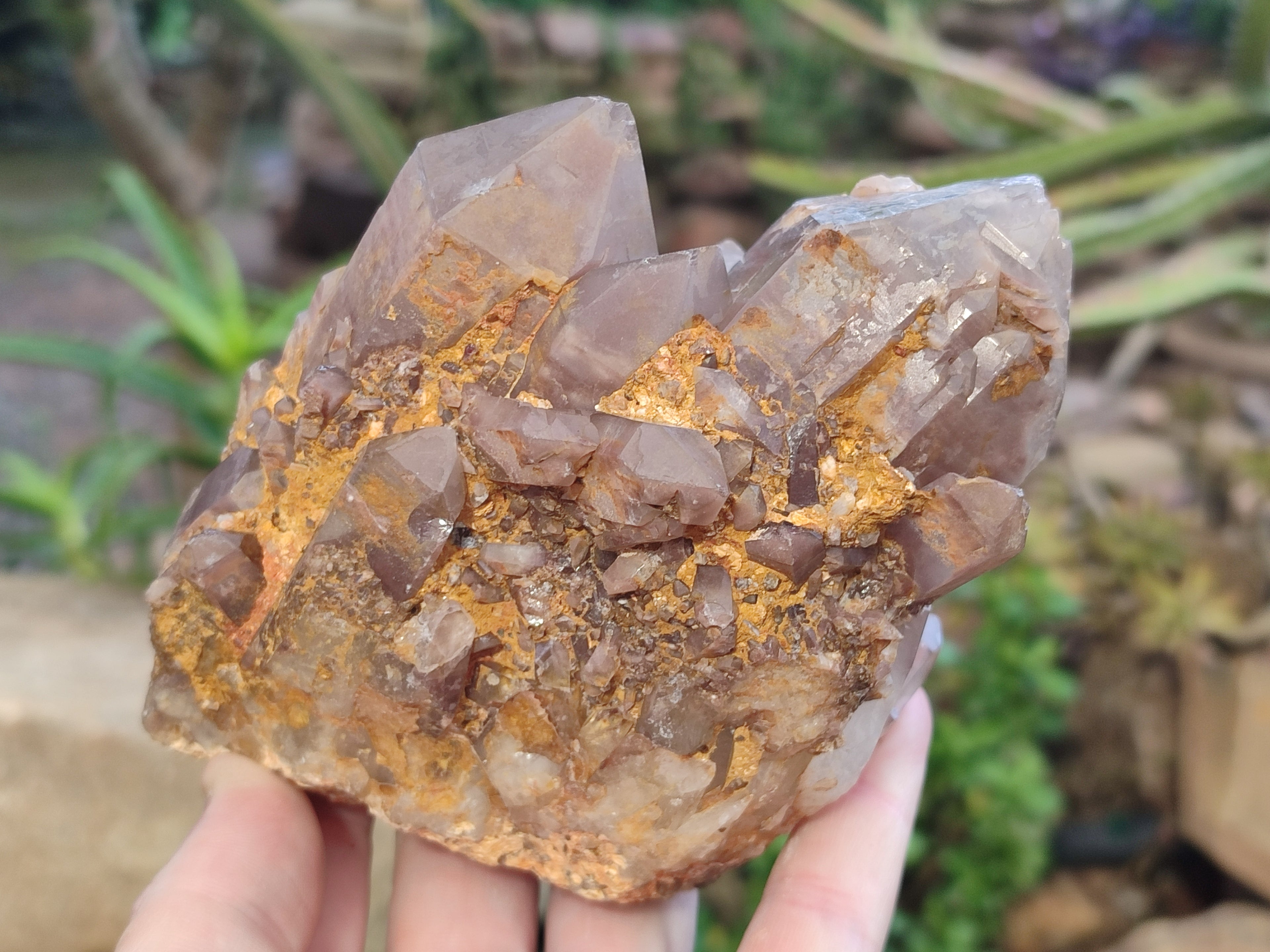 Natural Red Hematoid Quartz Clusters x 2 From Karoi, Zimbabwe - Toprock Gemstones and Minerals 