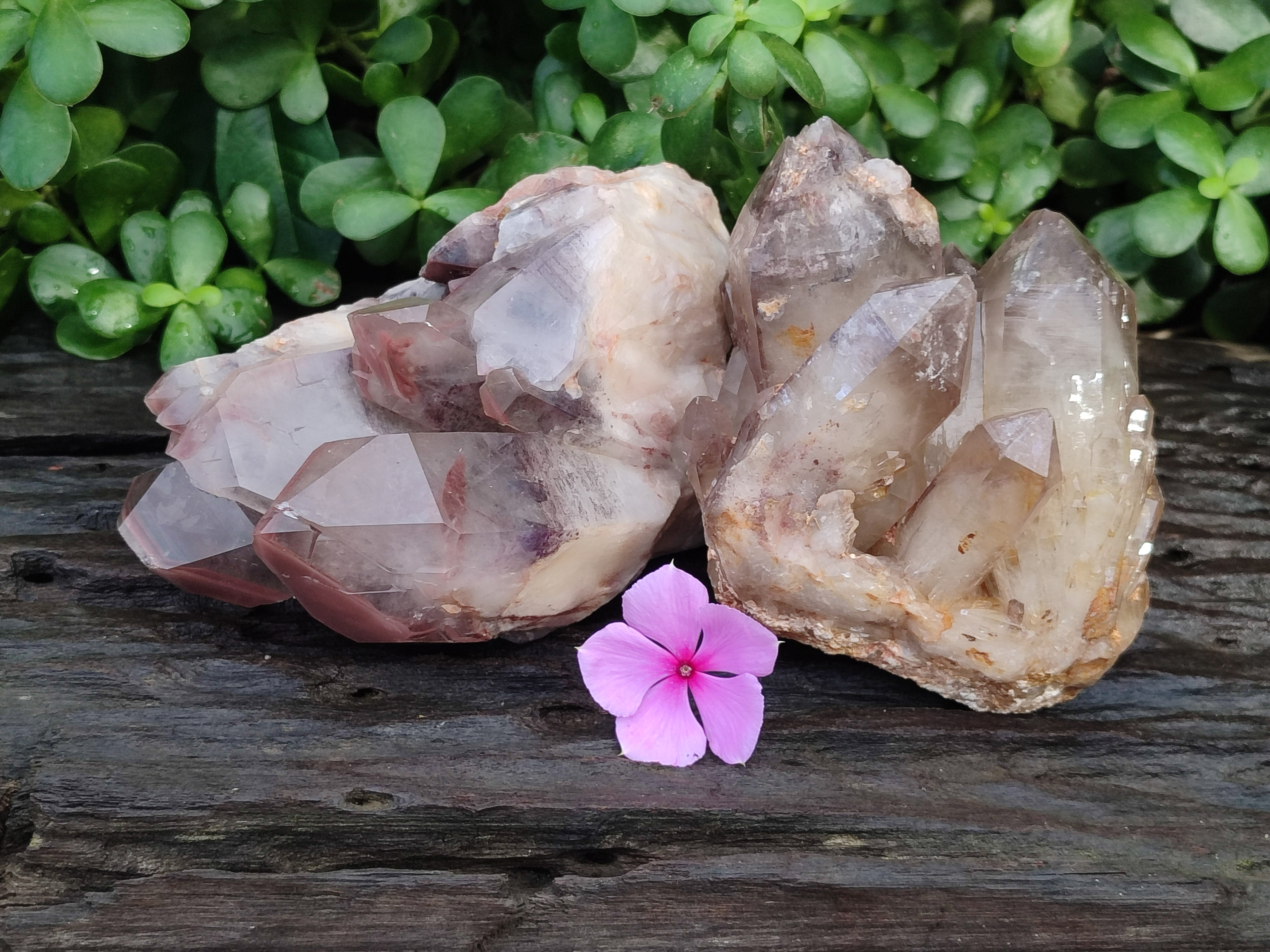 Natural Red Hematoid Quartz Clusters x 2 From Karoi, Zimbabwe - Toprock Gemstones and Minerals 