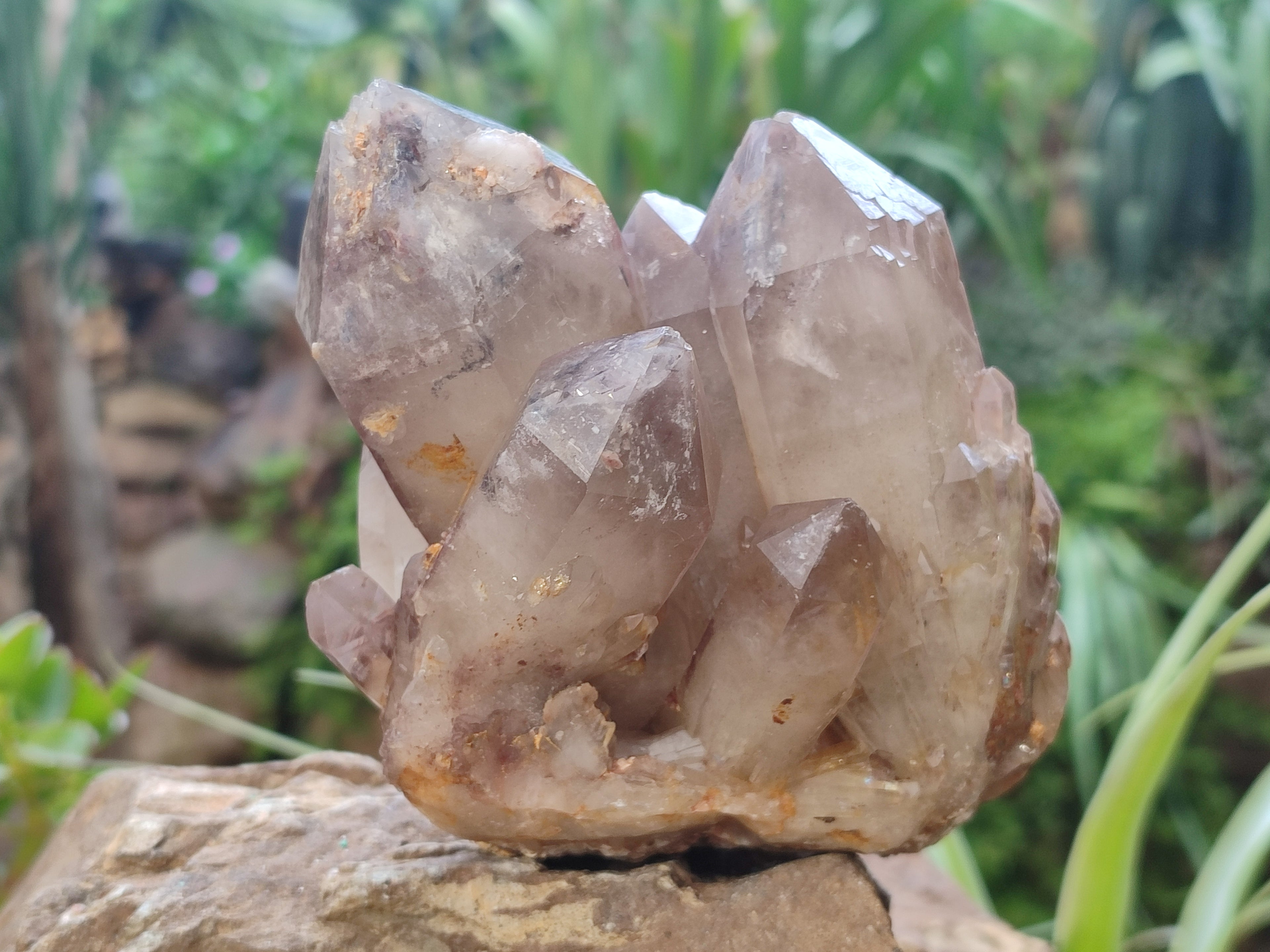 Natural Red Hematoid Quartz Clusters x 2 From Karoi, Zimbabwe - Toprock Gemstones and Minerals 