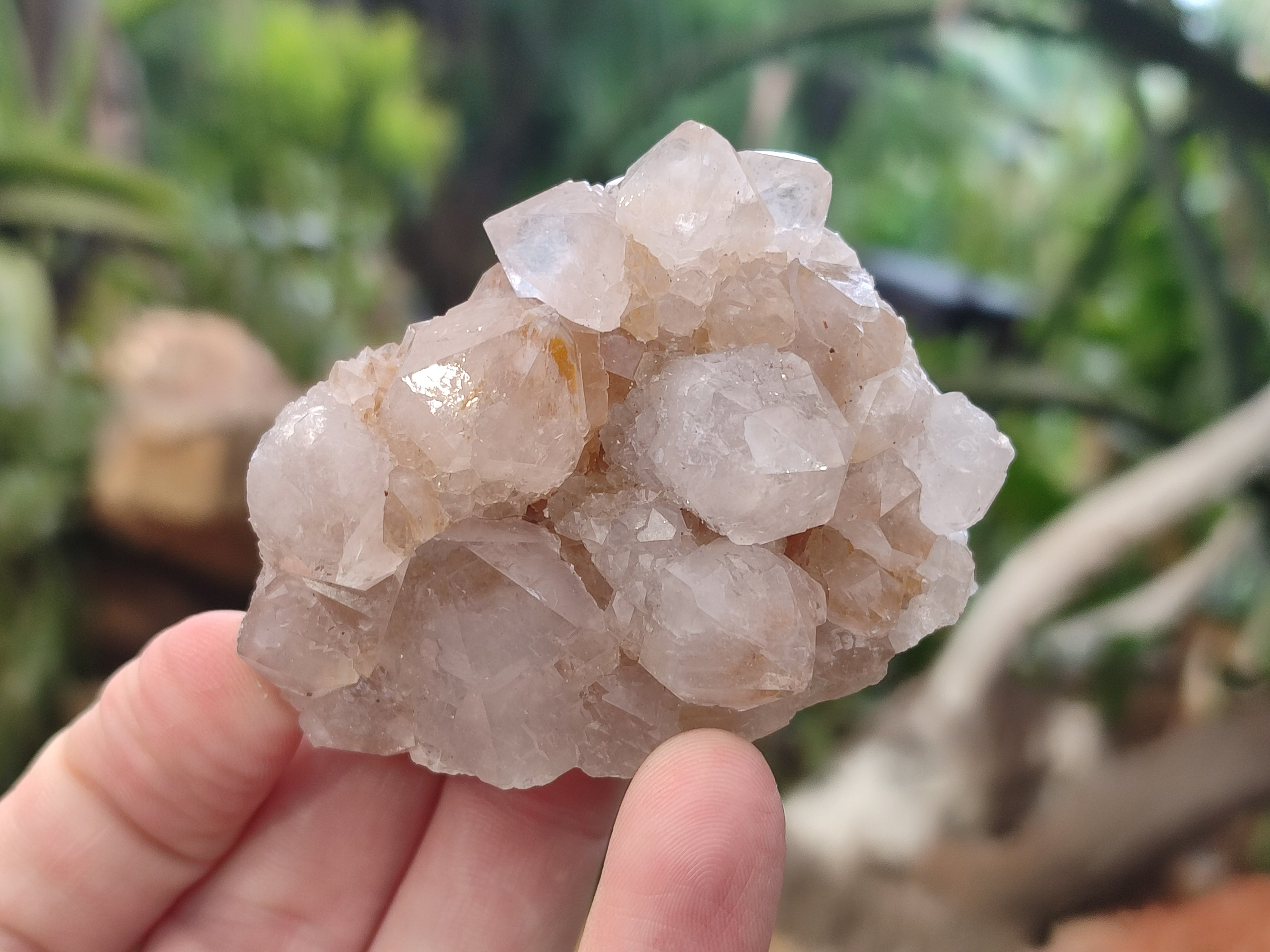 Natural Amethyst Spirit Quartz Clusters x 20 From Boekenhouthoek, South Africa - Toprock Gemstones and Minerals 