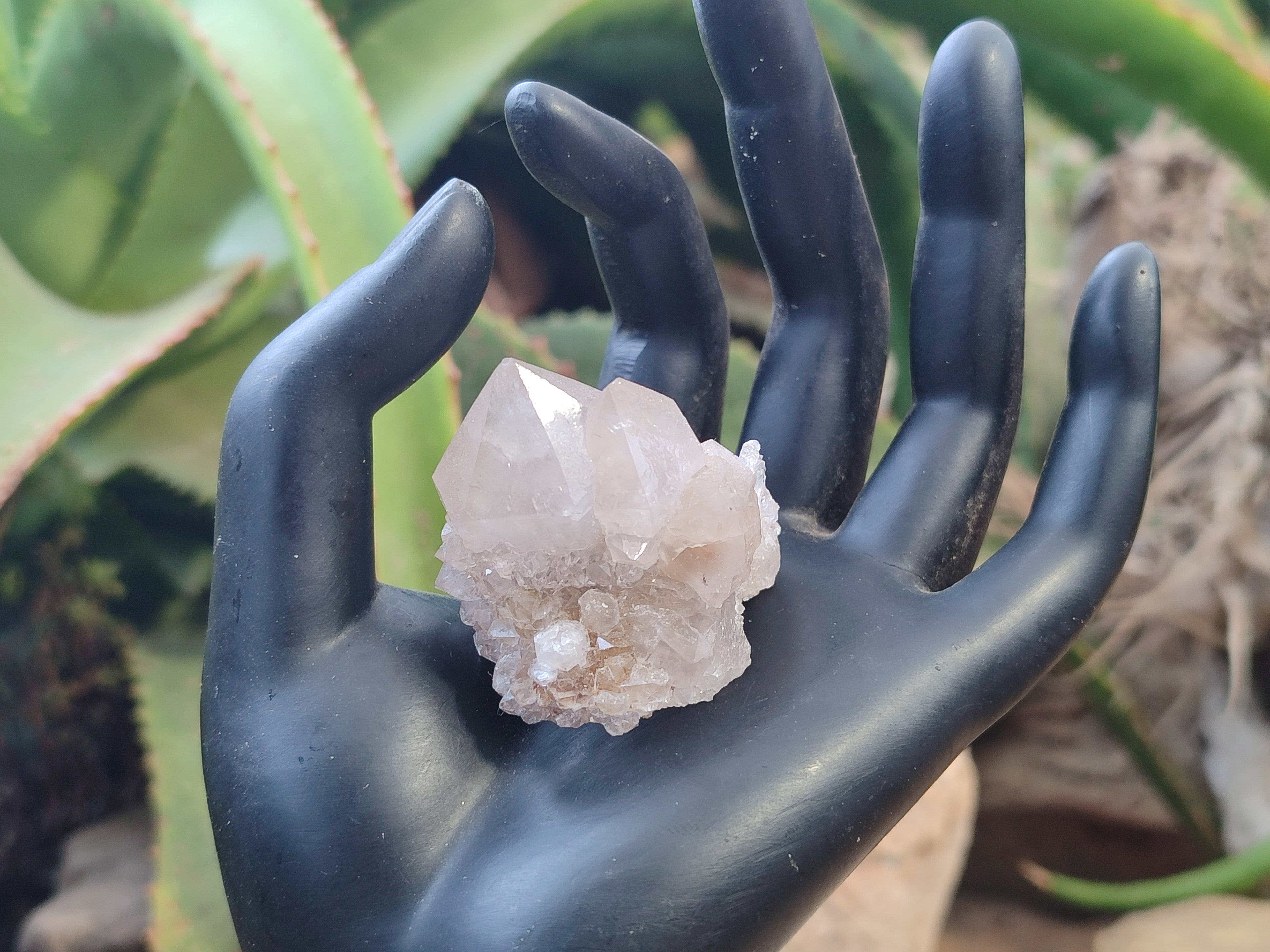 Natural Amethyst Spirit Quartz Clusters x 20 From Boekenhouthoek, South Africa - Toprock Gemstones and Minerals 