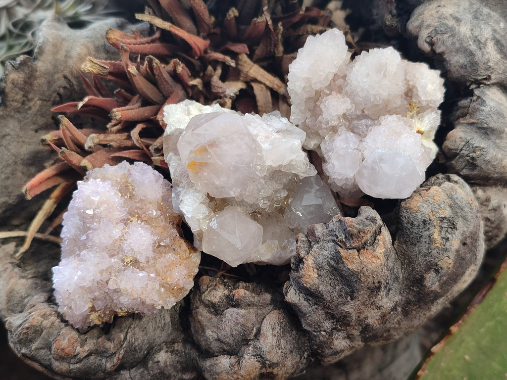 Natural Amethyst Spirit Quartz Clusters x 20 From Boekenhouthoek, South Africa - Toprock Gemstones and Minerals 