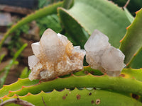 Natural Amethyst Spirit Quartz Clusters x 20 From Boekenhouthoek, South Africa