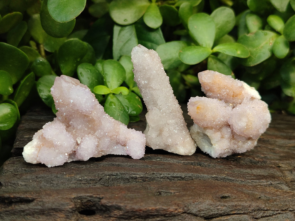 Natural Amethyst Spirit Quartz Clusters x 20 From Boekenhouthoek, South Africa - Toprock Gemstones and Minerals 