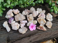 Natural Amethyst Spirit Quartz Clusters x 20 From Boekenhouthoek, South Africa