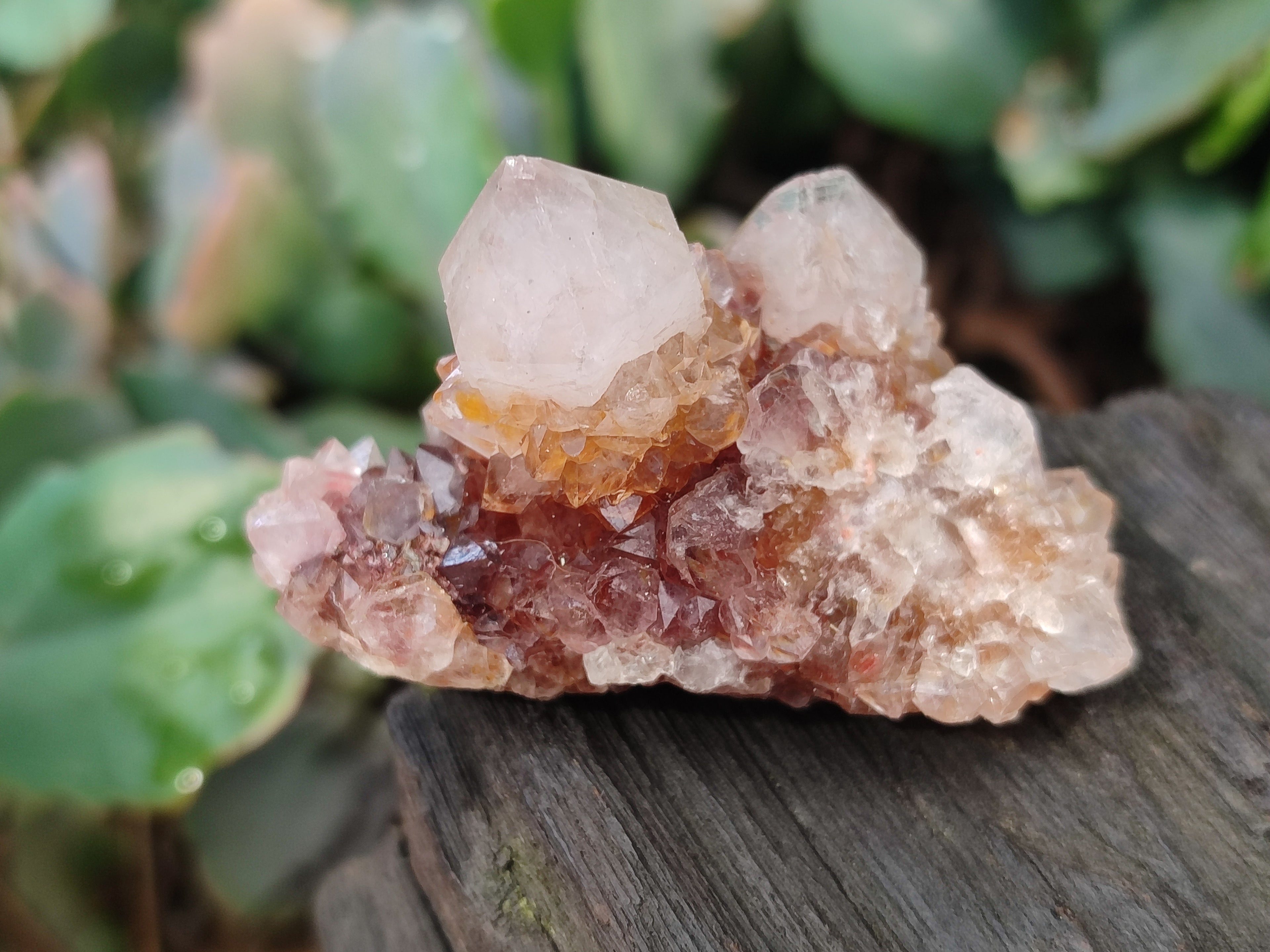 Natural Amethyst Spirit Quartz Clusters x 20 From Boekenhouthoek, South Africa - Toprock Gemstones and Minerals 