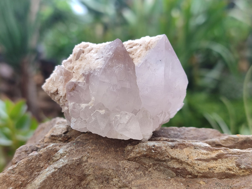 Natural Amethyst Spirit Quartz Clusters x 20 From Boekenhouthoek, South Africa - Toprock Gemstones and Minerals 