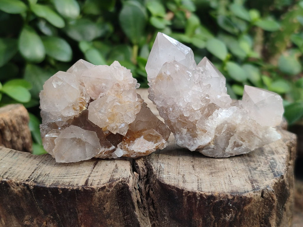 Natural Amethyst Spirit Quartz Clusters x 20 From Boekenhouthoek, South Africa - Toprock Gemstones and Minerals 