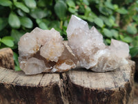 Natural Amethyst Spirit Quartz Clusters x 20 From Boekenhouthoek, South Africa