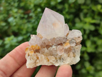 Natural Amethyst Spirit Quartz Clusters x 24 From Boekenhouthoek, South Africa