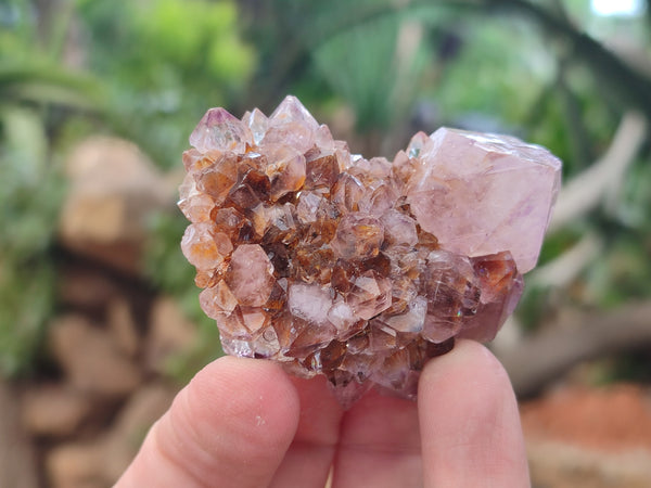 Natural Amethyst Spirit Quartz Clusters x 24 From Boekenhouthoek, South Africa