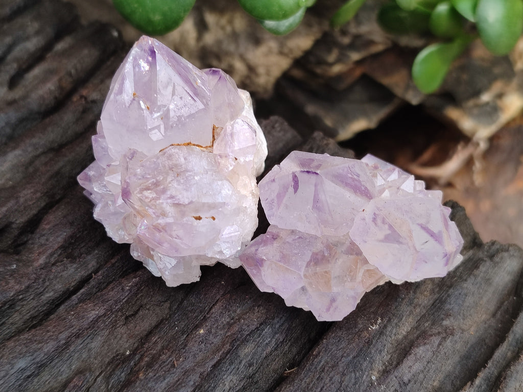 Natural Amethyst Spirit Quartz Clusters x 24 From Boekenhouthoek, South Africa - Toprock Gemstones and Minerals 