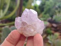Natural Amethyst Spirit Quartz Clusters x 24 From Boekenhouthoek, South Africa