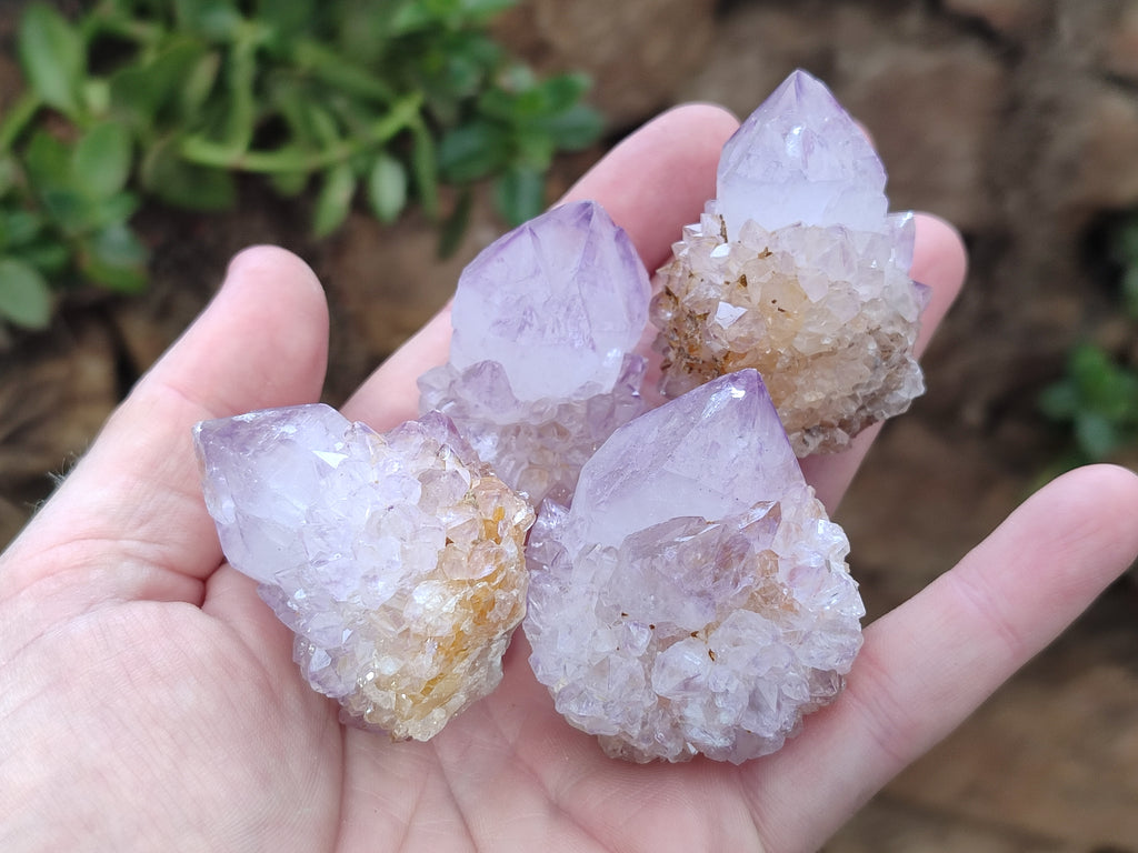 Natural Amethyst Spirit Quartz Clusters x 24 From Boekenhouthoek, South Africa - Toprock Gemstones and Minerals 