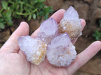 Natural Amethyst Spirit Quartz Clusters x 24 From Boekenhouthoek, South Africa - Toprock Gemstones and Minerals 