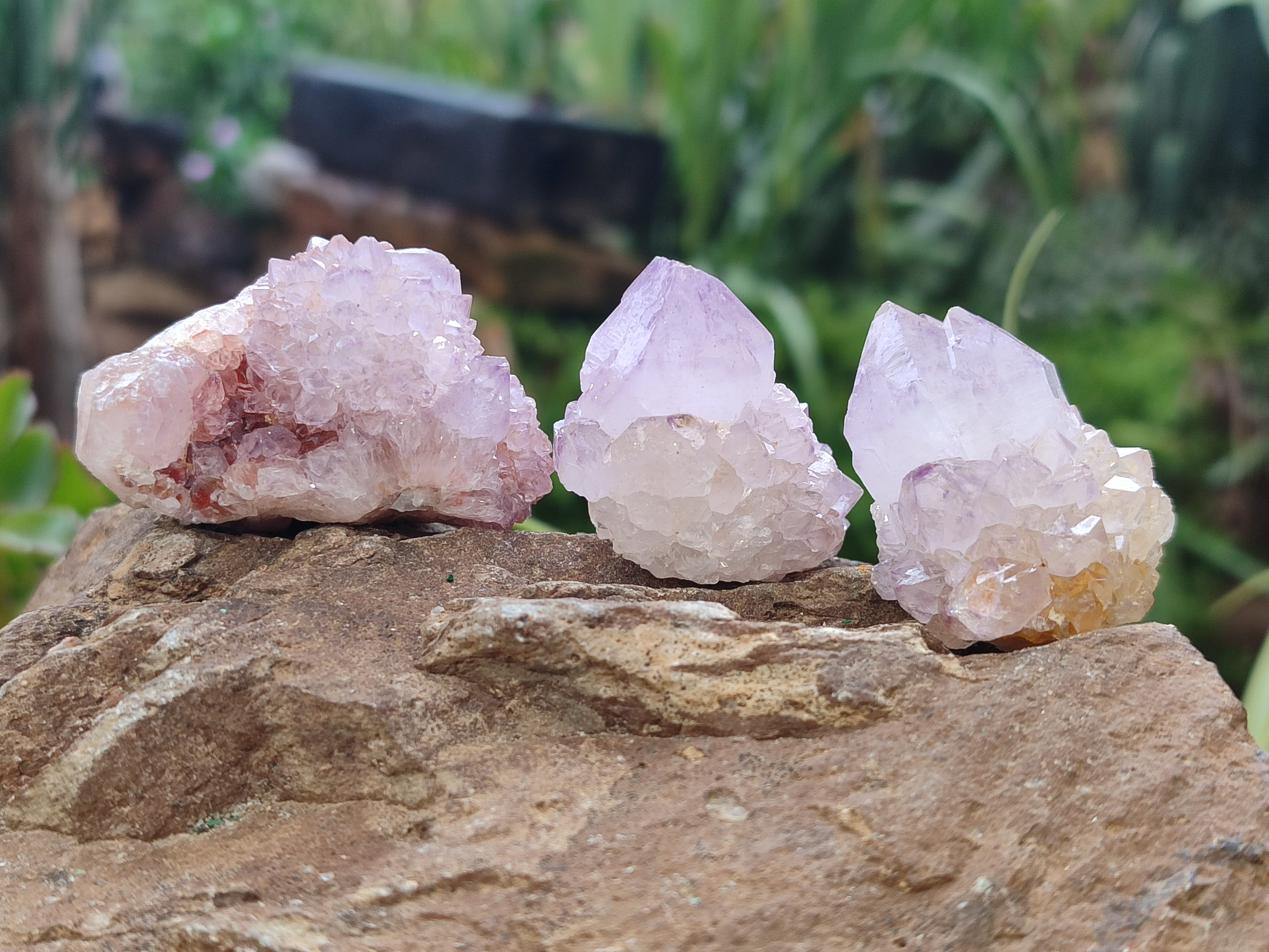 Natural Amethyst Spirit Quartz Clusters x 24 From Boekenhouthoek, South Africa - Toprock Gemstones and Minerals 