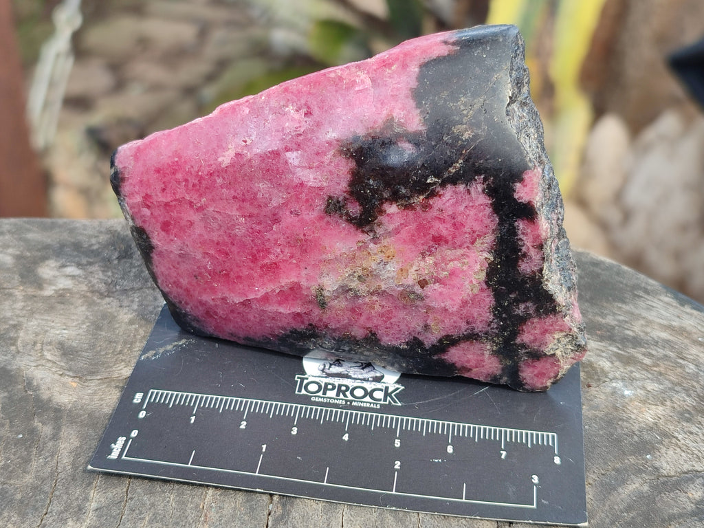 Polished Assortment Of Retail Items x 6 From Madagascar - Toprock Gemstones and Minerals 