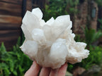 Natural Quartz Clusters x 3 From Madagascar - Toprock Gemstones and Minerals 