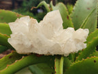 Natural Quartz Clusters x 3 From Madagascar - Toprock Gemstones and Minerals 