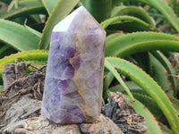 Polished Chevron Amethyst Points x 2 from Madagascar - Toprock Gemstones and Minerals 