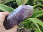 Polished Chevron Amethyst Points x 2 from Madagascar - Toprock Gemstones and Minerals 