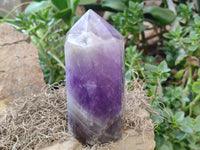 Polished Chevron Amethyst Points x 2 from Madagascar - Toprock Gemstones and Minerals 