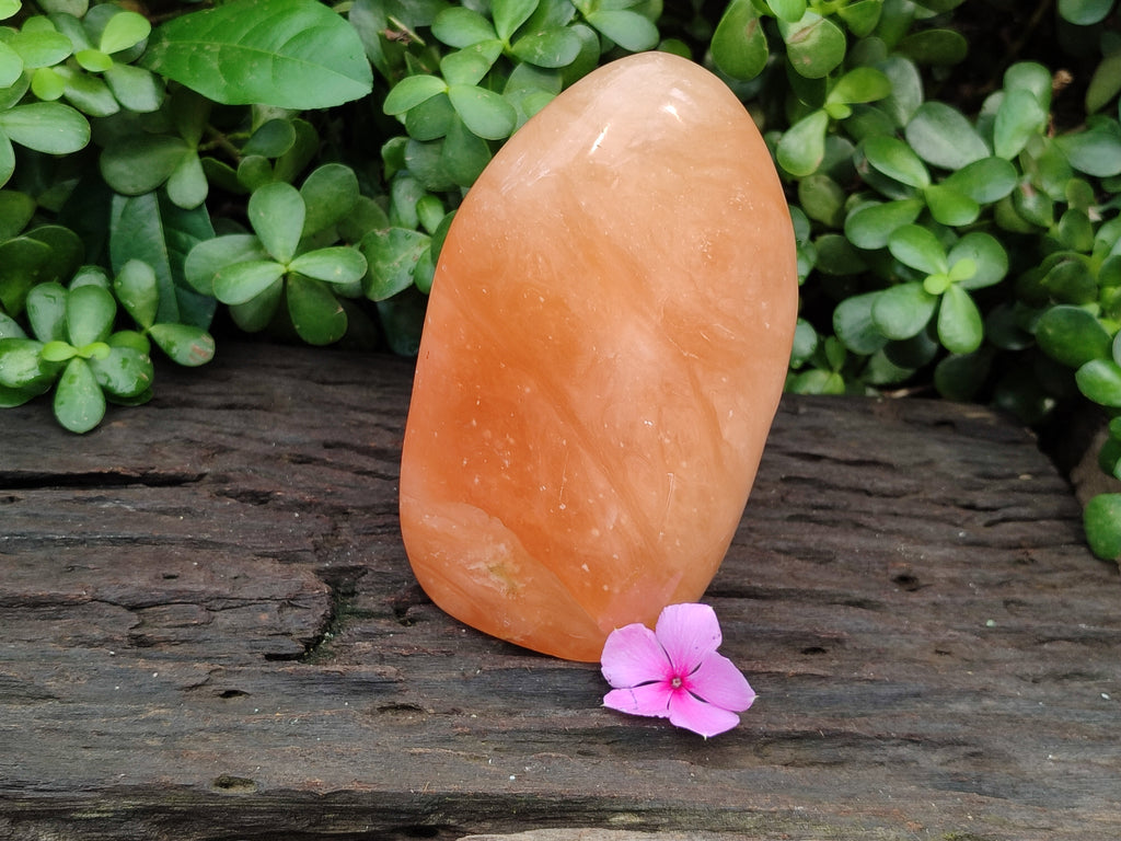 Polished Orange Twist Calcite Standing Free Form x 1 From Madagascar - Toprock Gemstones and Minerals 