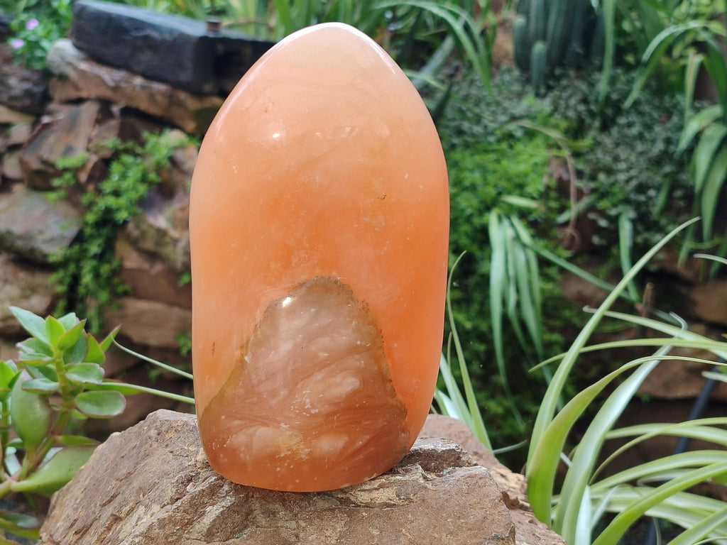 Polished Orange Twist Calcite Standing Free Form x 1 From Madagascar - Toprock Gemstones and Minerals 