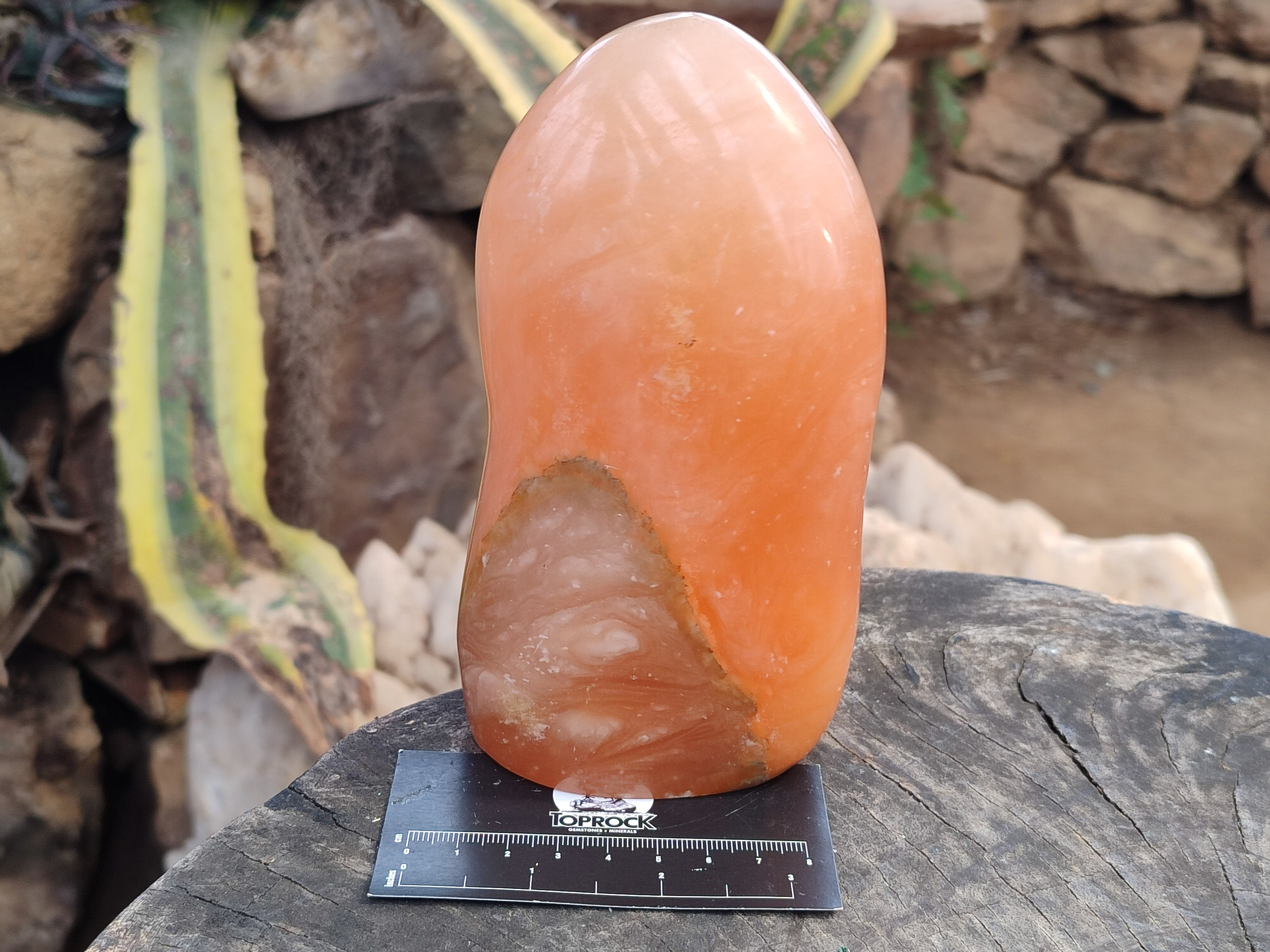 Polished Orange Twist Calcite Standing Free Form x 1 From Madagascar - Toprock Gemstones and Minerals 