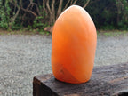 Polished Orange Twist Calcite Standing Free Form x 1 From Madagascar - Toprock Gemstones and Minerals 