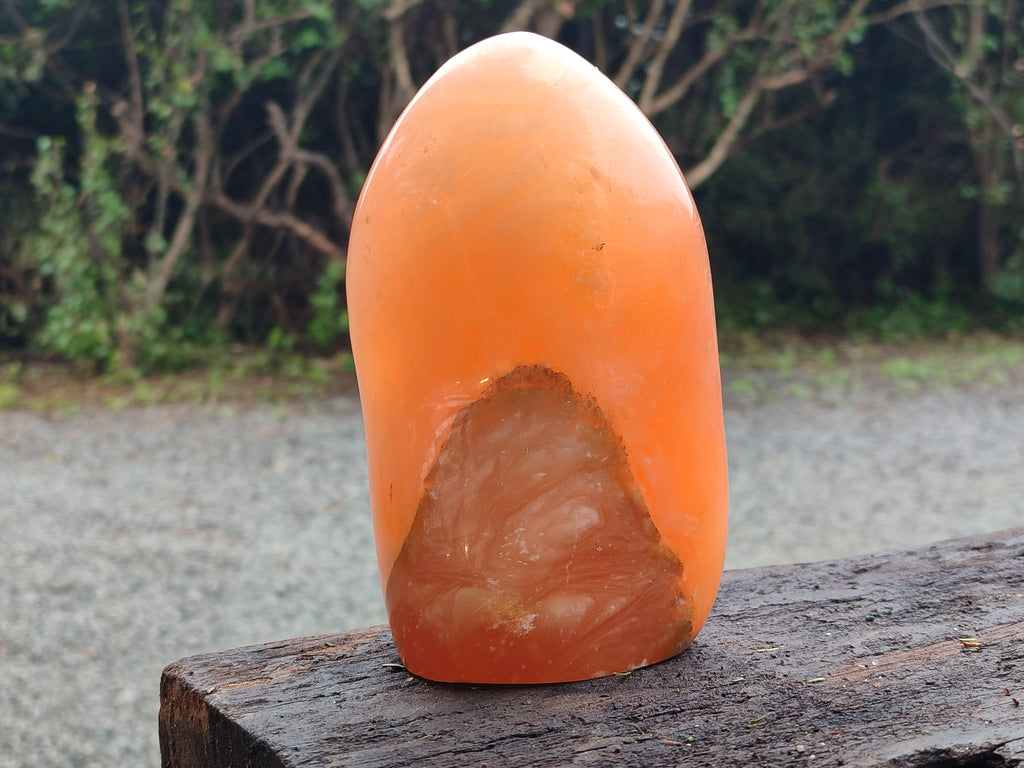 Polished Orange Twist Calcite Standing Free Form x 1 From Madagascar - Toprock Gemstones and Minerals 