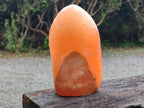 Polished Orange Twist Calcite Standing Free Form x 1 From Madagascar - Toprock Gemstones and Minerals 