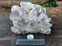Natural Jacaranda Amethyst Quartz Clusters x 3 from Mumbwa, Zambia - Toprock Gemstones and Minerals 