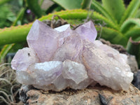 Natural Jacaranda Amethyst Quartz Clusters x 3 from Mumbwa, Zambia - Toprock Gemstones and Minerals 