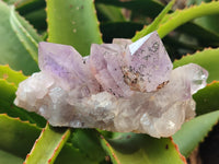 Natural Jacaranda Amethyst Quartz Clusters x 3 from Mumbwa, Zambia - Toprock Gemstones and Minerals 