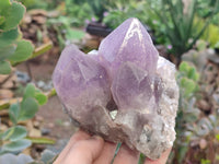 Natural Jacaranda Amethyst Quartz Clusters x 3 from Mumbwa, Zambia - Toprock Gemstones and Minerals 