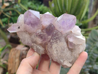 Natural Jacaranda Amethyst Quartz Clusters x 3 from Mumbwa, Zambia - Toprock Gemstones and Minerals 
