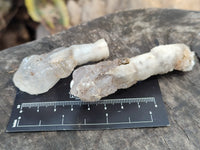 Natural Drusy Quartz Coated Calcite Pseudomorph Specimens x 14 From Alberts Mountain, Lesotho - Toprock Gemstones and Minerals 
