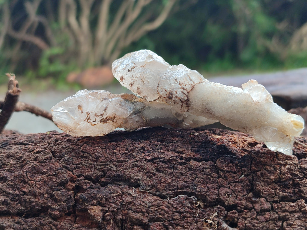 Natural Drusy Quartz Coated Calcite Pseudomorph Specimens x 14 From Alberts Mountain, Lesotho - Toprock Gemstones and Minerals 