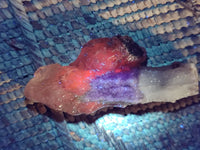 Natural Drusy Quartz Coated Calcite Pseudomorph Specimens x 14 From Alberts Mountain, Lesotho - Toprock Gemstones and Minerals 