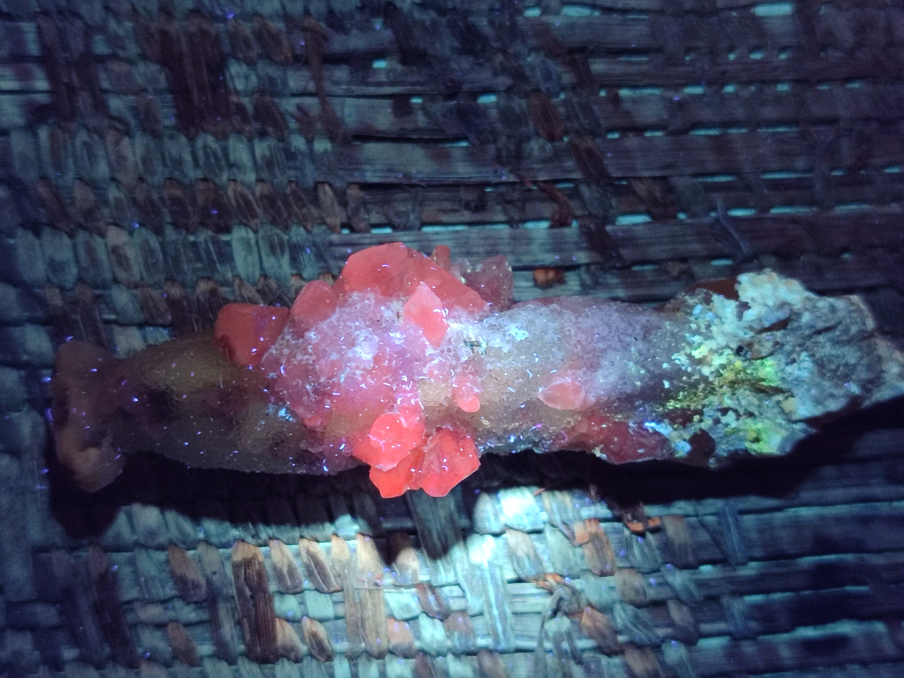 Natural Drusy Quartz Coated Calcite Pseudomorph Specimens x 14 From Alberts Mountain, Lesotho - Toprock Gemstones and Minerals 