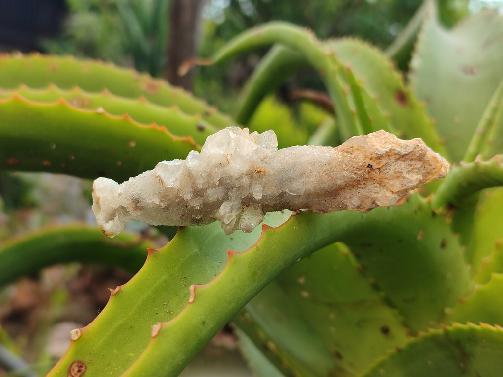 Natural Drusy Quartz Coated Calcite Pseudomorph Specimens x 14 From Alberts Mountain, Lesotho - Toprock Gemstones and Minerals 