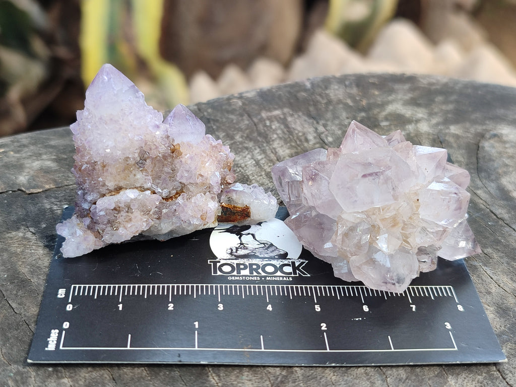 Natural Amethyst Spirit Quartz Clusters x 35 From Boekenhouthoek, South Africa - Toprock Gemstones and Minerals 