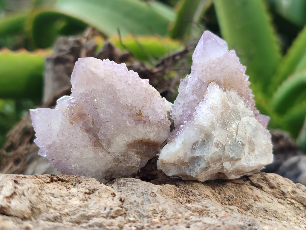 Natural Amethyst Spirit Quartz Clusters x 35 From Boekenhouthoek, South Africa - Toprock Gemstones and Minerals 