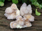 Natural Amethyst Spirit Quartz Clusters x 35 From Boekenhouthoek, South Africa - Toprock Gemstones and Minerals 