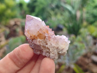 Natural Amethyst Spirit Quartz Clusters x 35 From Boekenhouthoek, South Africa