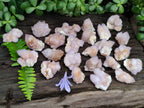 Natural Amethyst Spirit Quartz Clusters x 35 From Boekenhouthoek, South Africa - Toprock Gemstones and Minerals 