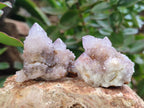 Natural Amethyst Spirit Quartz Clusters x 35 From Boekenhouthoek, South Africa - Toprock Gemstones and Minerals 