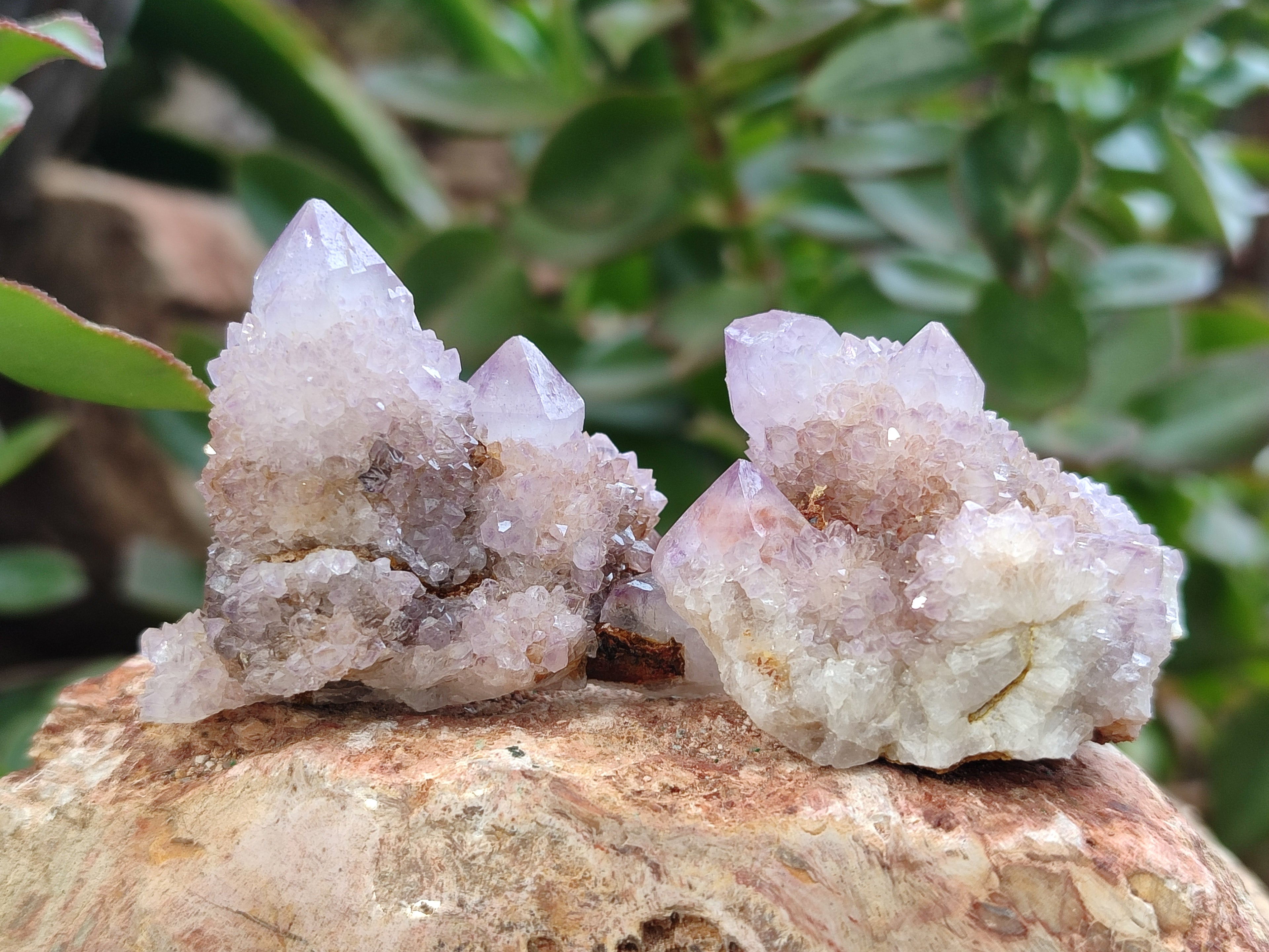 Natural Amethyst Spirit Quartz Clusters x 35 From Boekenhouthoek, South Africa - Toprock Gemstones and Minerals 